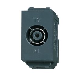 Ổ cắm WEG2501H
