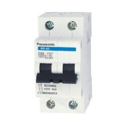 MCB 2P 100A 10KA BBD210021C