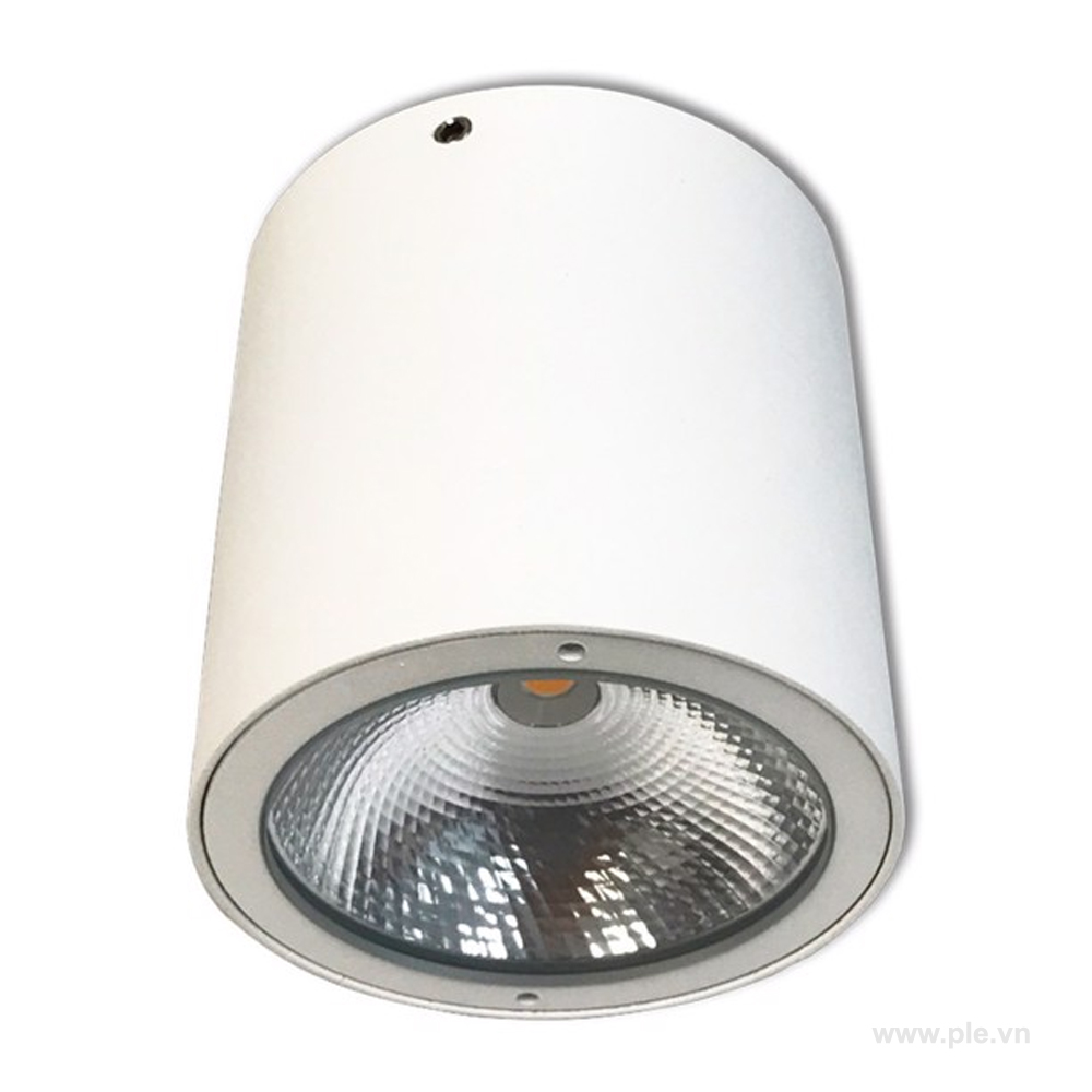 Đèn trần 7W NSDL2236-76