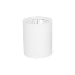 Đèn downlight trụ 12W NSDL12W409040W54